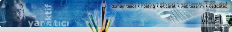 e-ticaret web dizayn hosting domain