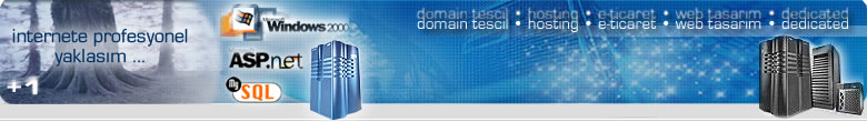 e-ticaret web dizayn hosting domain